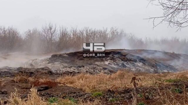 Жители алтайского села жалуются на многолетнюю свалку - Алтайская правда, 04.11.2025
