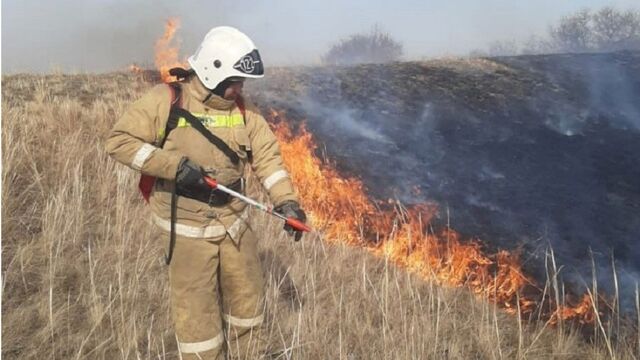 В Алтайском крае завершается пожароопасный сезон - Алтайская правда, 06.11.2025