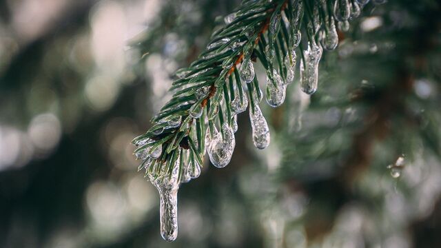 В Алтайском крае ожидается аномально теплая погода - Алтайская правда, 18.11.2025