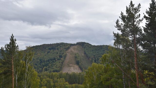 Депутаты предлагают запретить добычу россыпного золота в шести районах Алтайского края - Алтайская правда, 18.11.2025