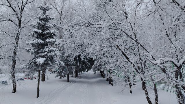 В Алтайском крае ослабнут морозы и пойдет снег - Алтайская правда, 22.02.2026