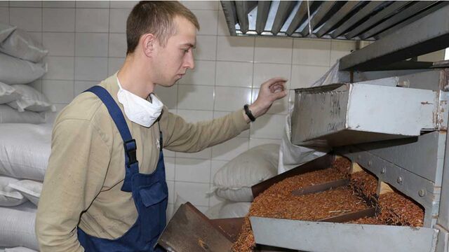 Алтайский край впервые стал поставлять цисты артемии в Мексику - Алтайская правда, 05.03.2026