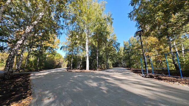 Власти Барнаула ищут подрядчиков для благоустройства трех территорий - Алтайская правда, 07.03.2026