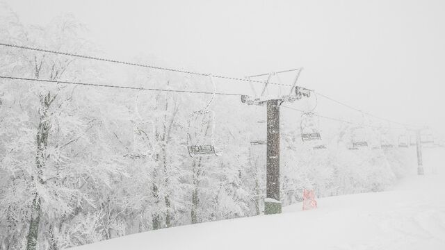 Самый сильный ветер по стране зафиксировали в Алтайском крае - Алтайская правда, 11.03.2026