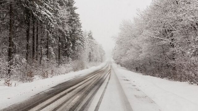 В Алтайском крае прогнозируют теплую ветреную погоду - Алтайская правда, 12.03.2026