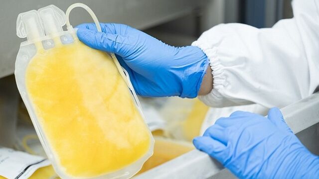 В Алтайском крае начали заготавливать иммунную антирезусную плазму - Алтайская правда, 13.03.2026