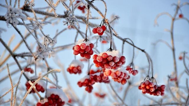 Оттепель с мокрым снегом ожидается в Алтайском крае 14 марта - Алтайская правда, 14.03.2026