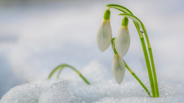 Теплая и ясная погода ожидается в Алтайском крае 21 марта - Алтайская правда, 21.03.2026