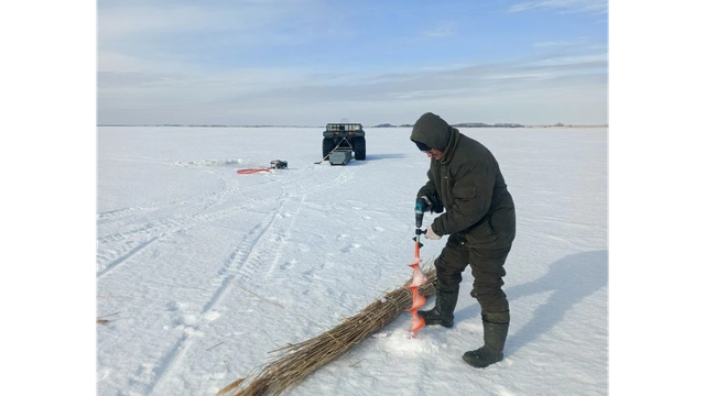 Дышите глубже. В Алтайском крае помогают рыбе справиться с нехваткой кислорода - Алтайская правда, 22.03.2026