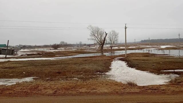 В Михайловском районе талые воды подтопили приусадебные участки - Алтайская правда, 28.03.2026