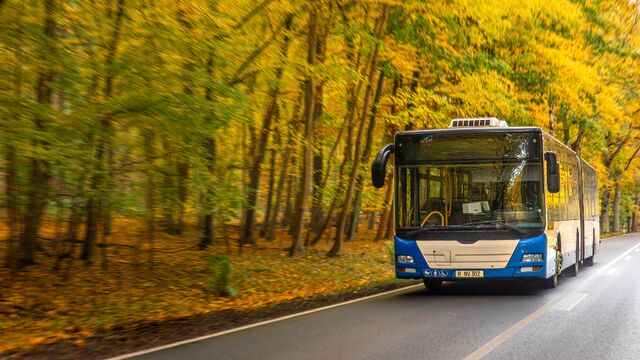 До 2030 года в города Алтайского края закупят более 250 автобусов - Алтайская правда, 31.03.2026