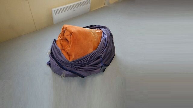 Партию овечьих шкур, ввозимых в Россию с нарушением законодательства, выявили алтайские таможенники - Алтайская правда, 06.04.2026