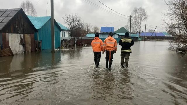 В Алтайском крае подтоплены 66 жилых домов в результате паводка - Алтайская правда, 12.04.2026