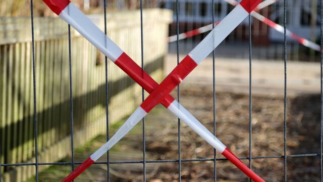 Еще два очага бешенства выявили в Алтайском крае - Алтайская правда, 17.04.2026