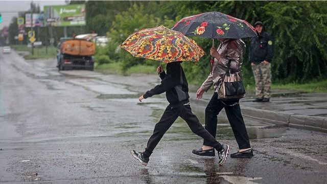 В Алтайском крае пройдут дожди и грозы - Алтайская правда, 01.07.2026