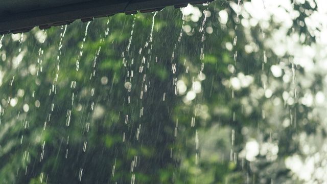 Дожди и грозы накроют Алтайский край 6 июля - Алтайская правда, 06.07.2026