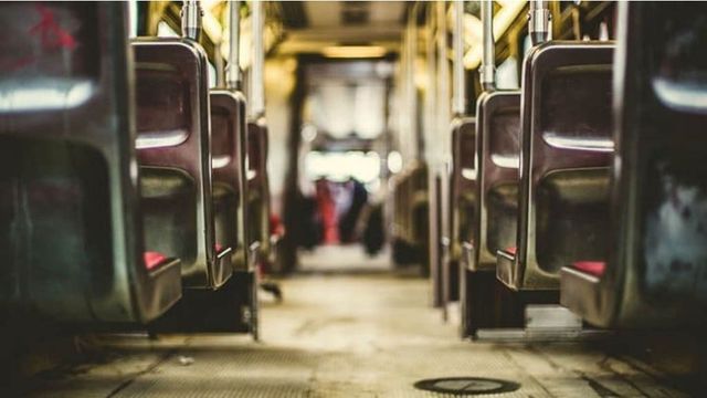 Специальный автобус запустят для посетителей Всероссийского дня поля из Барнаула - Алтайская правда, 08.07.2026