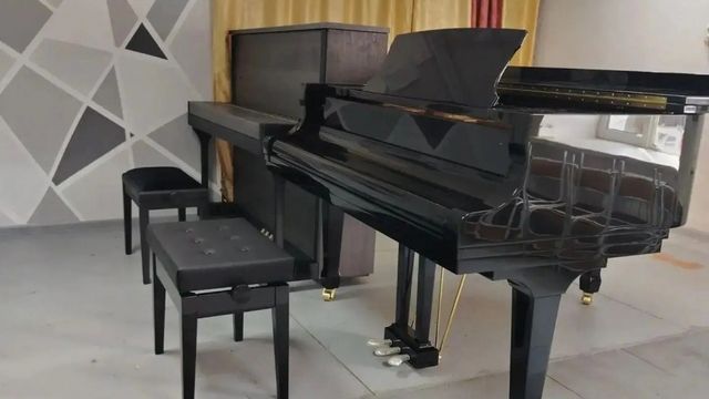 В Алтайском крае для детских школ искусств купили рояли - Алтайская правда, 11.07.2026