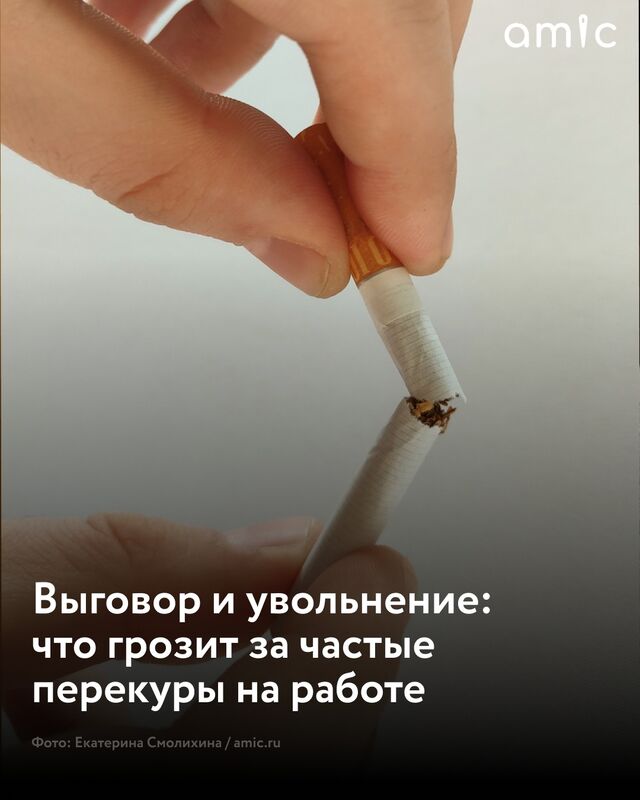 За частые перекуры на работе могут уволить - Amic.ru Новости Алтайского края, 22.10.2025