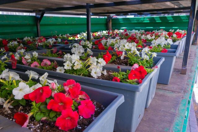 В Челябинской области выбрали самые благоустроенные территории промпредприятий - Издательский дом "Губерния", 19.11.2025