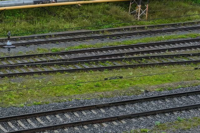 Пассажиров, помогавших пострадавшим в аварии поезда Москва – Челябинск, наградят - Издательский дом "Губерния", 03.04.2026