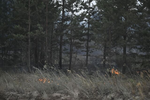 Аргаяшский округ первым в Челябинской области ввел особый противопожарный режим Аргаяшский округ первым в Челябинской области ввел особый противопожарный режим - Издательский дом "Губерния", 05.04.2026