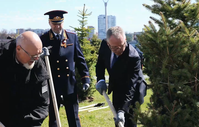 В память о героях Великой Отечественной войны в центре Челябинска высадили ели - Издательский дом "Губерния", 29.04.2026