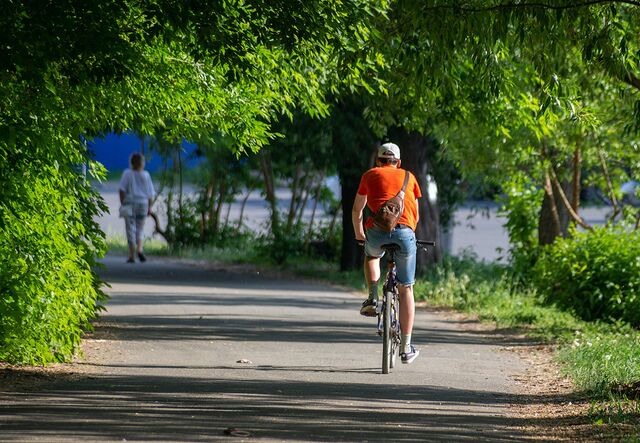 В Челябинске к 2035 году построят 114 километров велодорожек - Издательский дом "Губерния", 15.05.2026