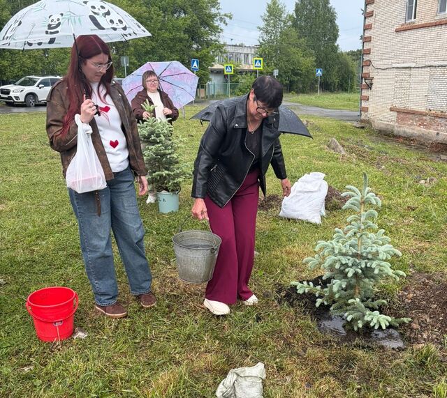 В поселке Совхозном высадили голубые ели в память о погибших на СВО земляках - Издательский дом "Губерния", 09.06.2026