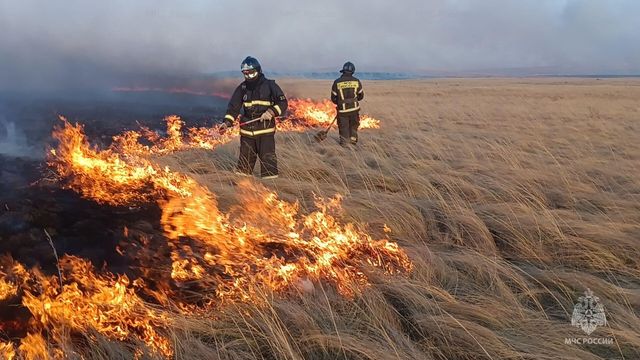 Из-за природных пожаров режим ЧС ввели в трех округах Челябинской области - Издательский дом "Губерния", 09.09.2026