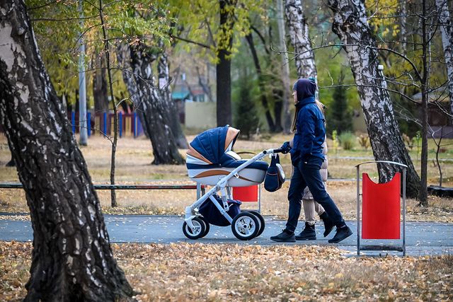 Владимир Путин удостоил ордена две многодетные семьи из Челябинской области - Издательский дом "Губерния", 22.09.2026
