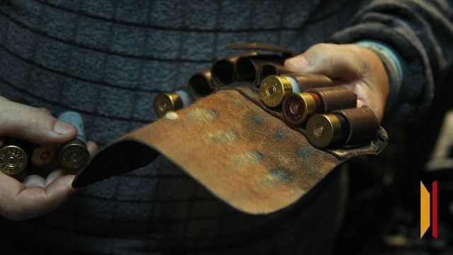 В Воронежской области с 15 сентября стартует сезон охоты на зайца-русака и лисицу. - Новости Воронежа | РИА «Воронеж», 18.08.2026