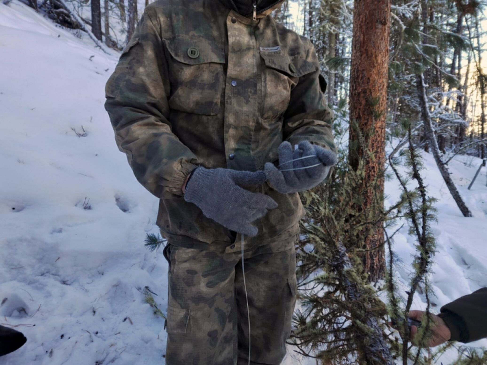 уголовный кодекс ст 285. охраняется законом адвокат. ст. незаконное задержание это в праве. заведомо незаконное задержание.