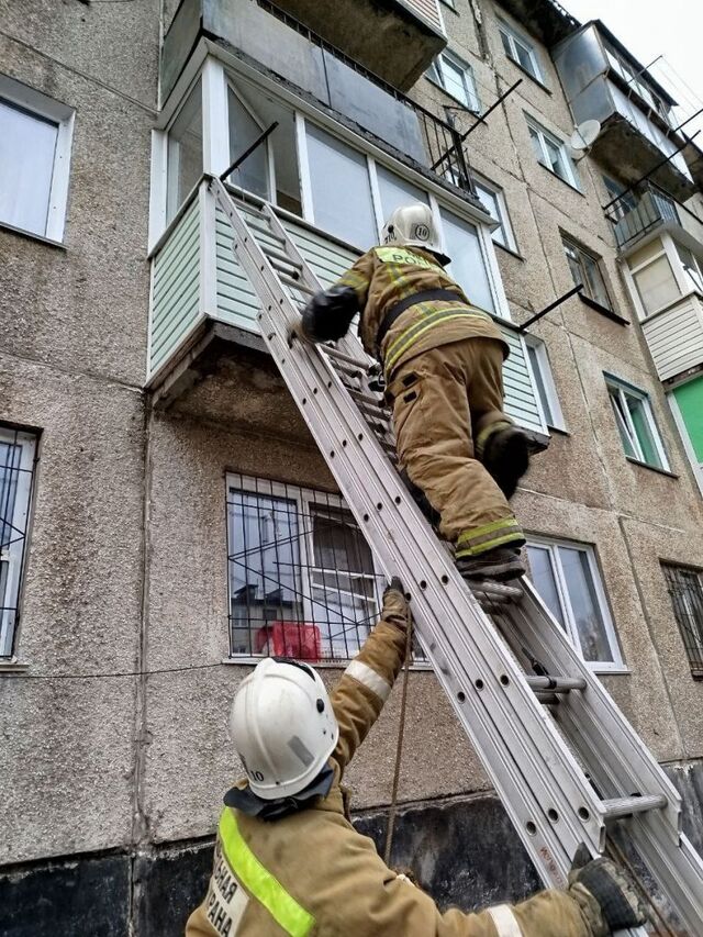 Спасатели помогли двум оказавшимся в беде пенсионеркам в Алтайском крае - Телевидение Алтайского края Катунь 24, 29.10.2024