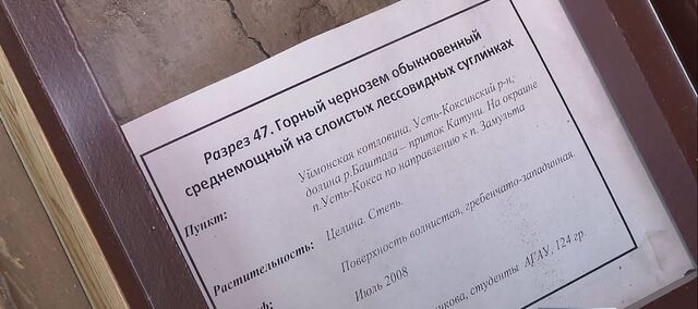 Учёные Алтайского аграрного университета работают над созданием «Красной книги почв Алтайского края» - Телевидение Алтайского края Катунь 24, 15.01.2025