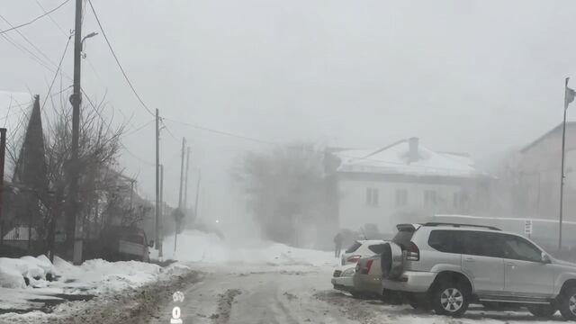 Метель в Алтайском крае. Видео - Телевидение Алтайского края Катунь 24, 22.01.2025