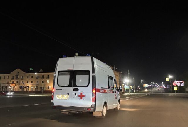 Лось спровоцировал ДТП в пригороде Бийска - Телевидение Алтайского края Катунь 24, 16.05.2025