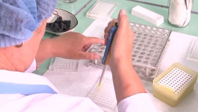Рост численности клещей наблюдается в Алтайском крае - Телевидение Алтайского края Катунь 24, 19.05.2025