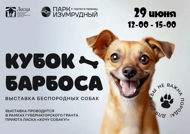 Беспородных собак покажут на ринге в парке «Изумрудный» - Телевидение Алтайского края Катунь 24, 28.06.2025