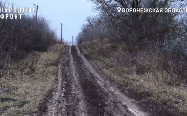 Глава СК взял на контроль ситуацию с отсутствием транспорта для школьников в воронежском селе - Обозреватель.Врн, 20.12.2024