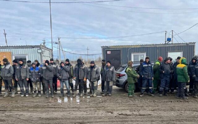 Силовики задержали 24 мигрантов на стройке в Воронежской области - Обозреватель.Врн, 07.02.2025