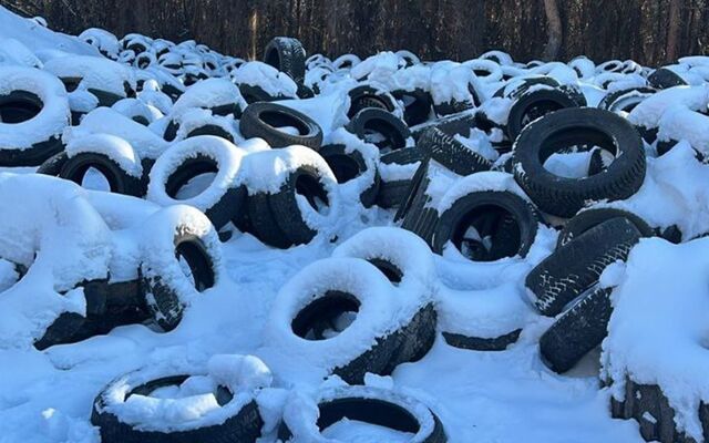 Свалку шин прокомментировала мэрия Воронежа - Обозреватель.Врн, 12.03.2025