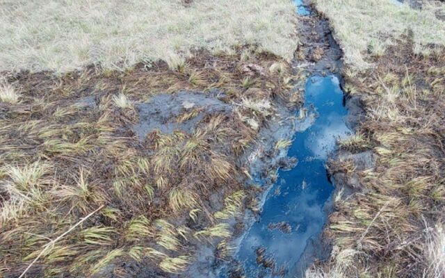 Ущерба от сброса «черной жижи» уценили в 8,3 млн в воронежском хуторе - Обозреватель.Врн, 16.05.2025