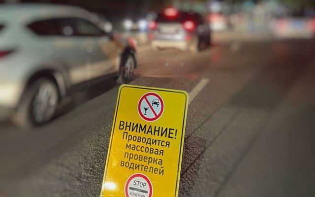 Облаву на пьяных водителей в ночь на 17 мая устроят в Воронеже - Обозреватель.Врн, 16.05.2025