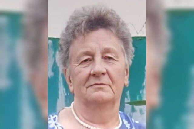 Поиски пропавшей сутки назад 69-летней женщины открыли воронежские волонтеры - Обозреватель.Врн, 10.07.2025