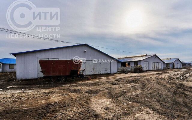 Действующий агрокомплекс за 200 млн продают под Воронежем - Обозреватель.Врн, 30.07.2025