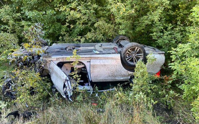 Двое человек пострадали в массовом ДТП с грузовиком под Воронежем - Обозреватель.Врн, 29.08.2025