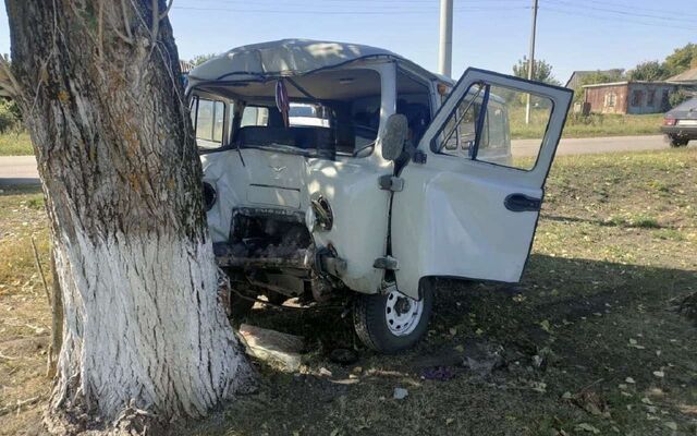Водитель «буханки» врезался в дерево и погиб в Воронежской области - Обозреватель.Врн, 17.09.2025
