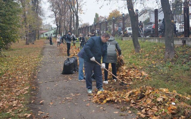 Спикер и депутаты гордумы приняли участие в субботнике в Воронеже - Обозреватель.Врн, 20.10.2025