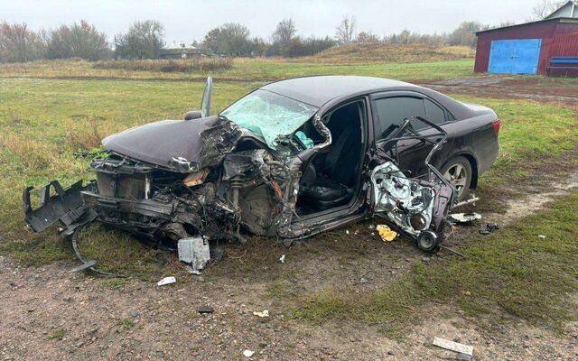 В лобовом ДТП с КамАЗом пострадали 2 человека в Воронежской области - Обозреватель.Врн, 24.10.2025
